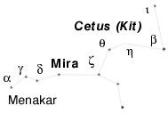 Kit - Mira